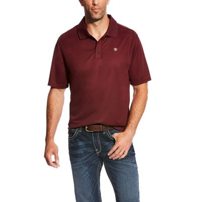 Ariat TEK - Polo Bordeaux Heren - 18980-148